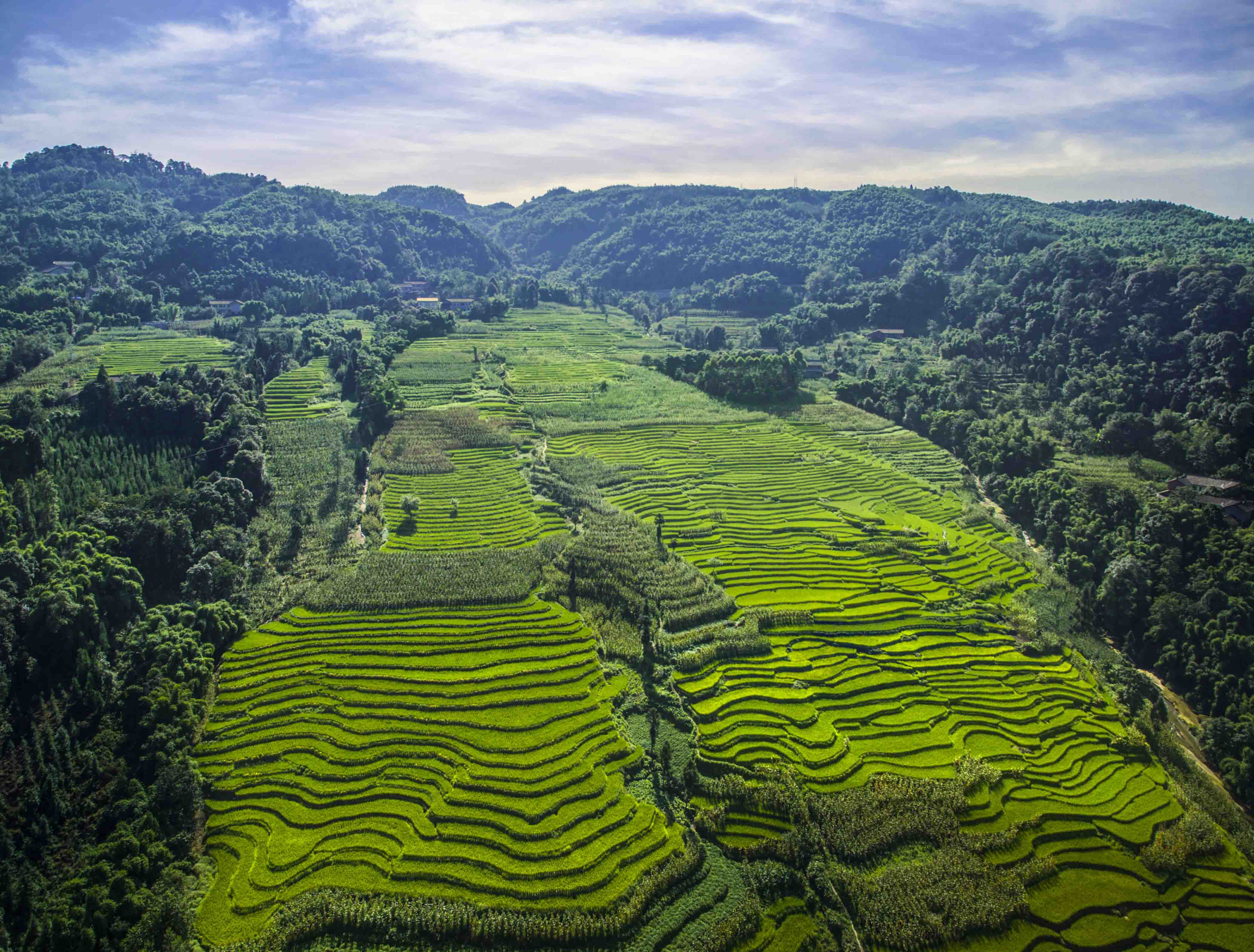 1461811855156627.jpg 1461811855156627.jpg