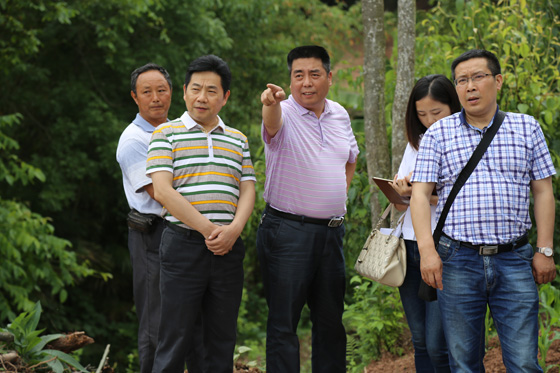 羅柏松（中）介紹村農(nóng)業(yè)發(fā)展項目.JPG