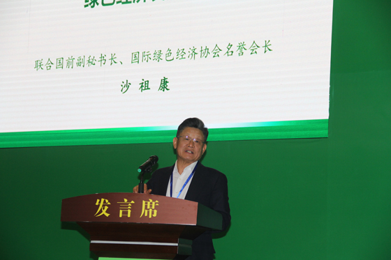 聯(lián)合國前副秘書長、國際綠色經(jīng)濟協(xié)會名譽會長沙祖康演講1.jpg