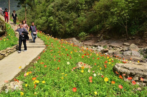 游人在花谷游覽  三江兵哥攝.JPG