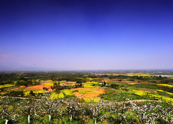 1480043009427848.jpg 四川崇州花果山春色.jpg