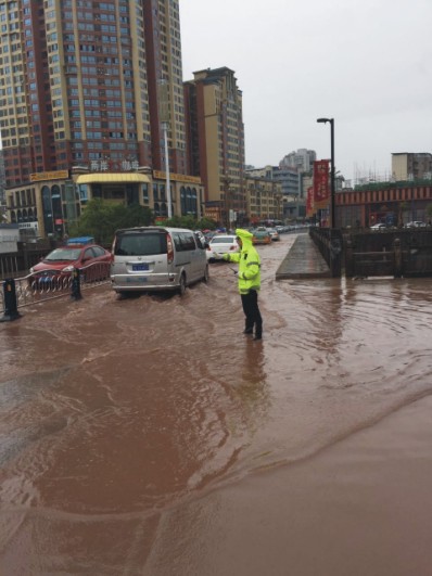 1493955076906682.jpg 13.jpg