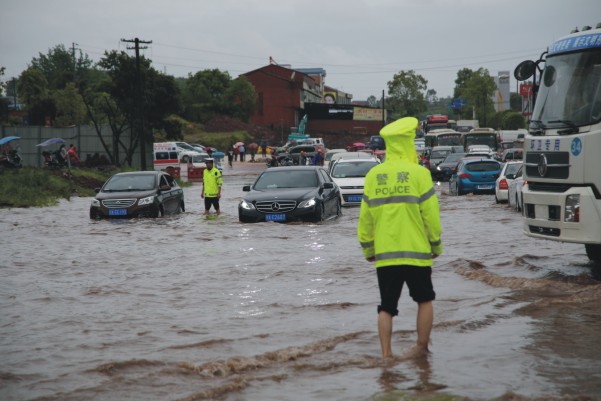 1493955088508371.jpg 14.jpg