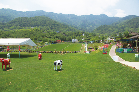 九龍鎮(zhèn)滑草游樂基地 潘興揚(yáng)攝影.JPG