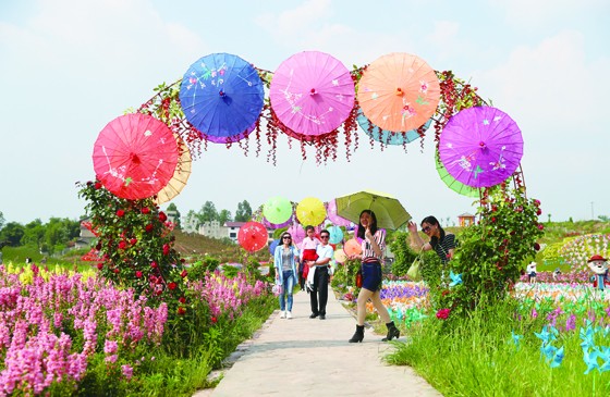 四川省華鎣市祿市鎮(zhèn)六水溝村引進(jìn)業(yè)主在近800畝撂荒地和山坡地、脊薄地上建起“百萬玫瑰---夢幻花?！鄙鷳B(tài)園，不僅盤活了土地、帶動(dòng)了當(dāng)?shù)剞r(nóng)民增收，而且成為市民休閑觀光的良好去處。邱海鷹 攝.JPG