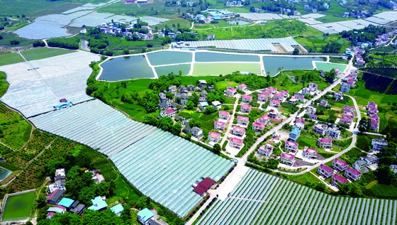 四川華鎣產(chǎn)村相融扮靚新農(nóng)村（邱海鷹 攝[1].JPG