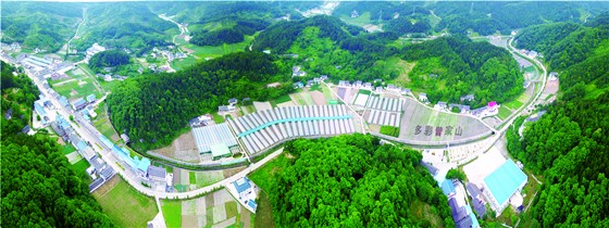 鳥瞰“蜀道亞高原 康養(yǎng)曾家山”之平溪現(xiàn)代農(nóng)業(yè)示范園區(qū)。 王德強(qiáng).jpg