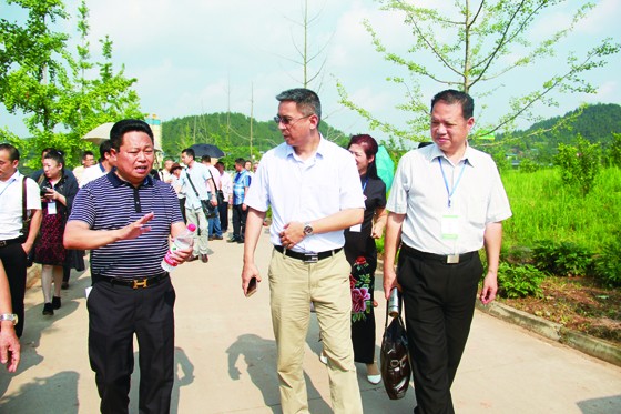 中國農(nóng)學會高新技術(shù)農(nóng)業(yè)應(yīng)用專委會秘書長、中國農(nóng)業(yè)科學院資源區(qū)劃所產(chǎn)業(yè)發(fā)展中心副主任信軍（中）與云南天丹藥業(yè)集團有限責任公司董事長劉玉軍（左一）在中藥材種植基地交談  周淼葭攝.JPG