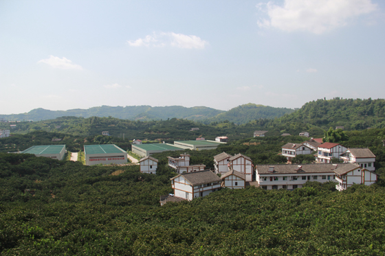 鳥瞰大云山.JPG