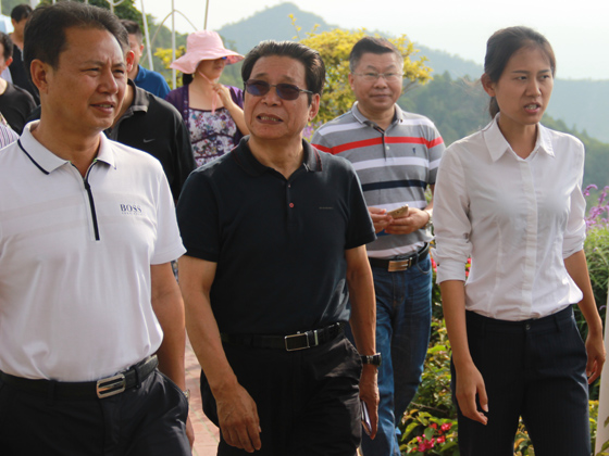 張成明考察阿署達花舞人間景區(qū)康養(yǎng)產(chǎn)業(yè).JPG