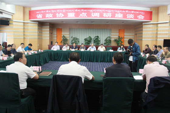 調(diào)研座談會(huì)現(xiàn)場.jpg