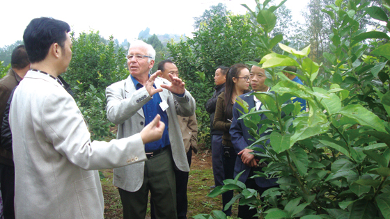 以色列專家指導檸檬產(chǎn)業(yè)發(fā)展.JPG