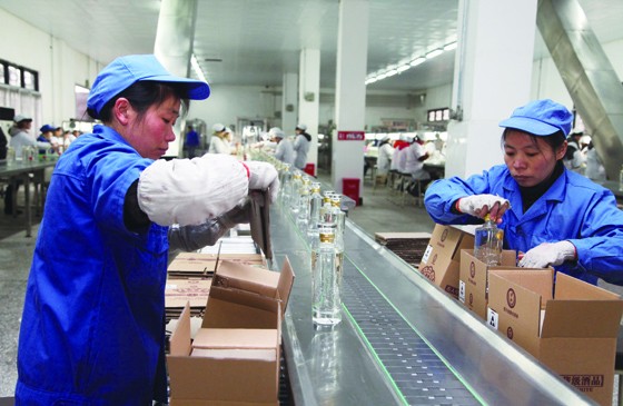 四川省瀘州市龍馬潭區(qū)鑫霸酒業(yè)的工人們在車間進(jìn)行酒品的包裝 劉傳福攝.jpg