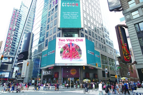 四川省成都市雙流區(qū)勝利鎮(zhèn)二荊條亮相美國紐約時代廣場.jpg