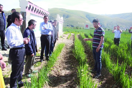 四川省縣域經(jīng)濟學會會長、省政府參事張成明（右一），四川省政協(xié)農業(yè)委主任劉宇（右二），省縣域經(jīng)濟學會副會長兼秘書長、《當代縣域經(jīng)濟》雜志社長楊彪（右五）等考察道孚大蔥基地種植園區(qū) 2286.jpg