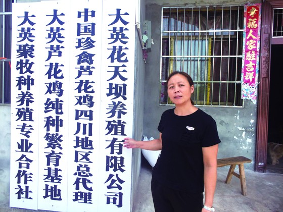 看，我們村建了好多公司?；ㄌ靿未宓姆掂l(xiāng)創(chuàng)業(yè)婦女漆慶向記者介紹雞養(yǎng)創(chuàng)業(yè)情況.jpg
