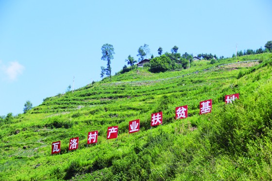 瓦洛村的產(chǎn)業(yè)扶貧基地.JPG