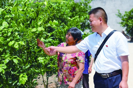 農(nóng)信工作人員在漢源縣黃果柑種植基地調(diào)研金融服務(wù).JPG