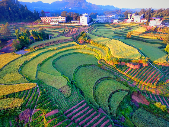 四川巴中田園田園風(fēng)光 陳安岳攝影_副本.jpg