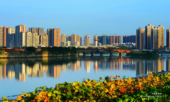 成都市雙流區(qū)都市化進(jìn)程迅速推進(jìn)，改縣設(shè)區(qū)迎來高質(zhì)量發(fā)展的黃金時(shí)期。圖為雙流華陽二江寺橋附近高樓林立 肖劍華 攝_副本.jpg