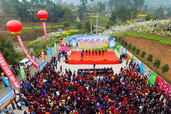 輝山鎮(zhèn)第二屆“李花·油菜花節(jié)”盛大開幕_副本.jpg