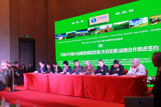 合作機構(gòu)現(xiàn)場簽約.JPG