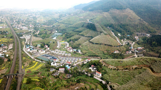 梨花似春雪 新村美如畫[1]_副本.jpg