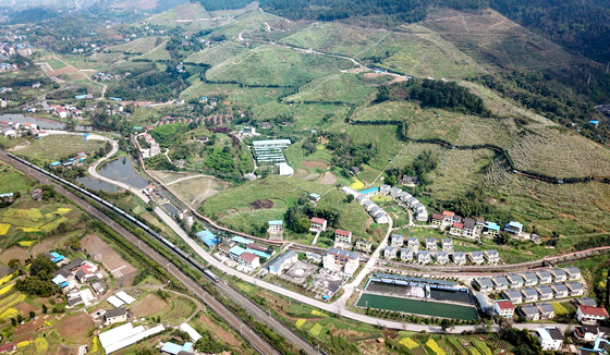 梨花似春雪 新村美如畫[2]_副本.jpg