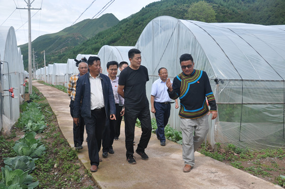 涼山州委書記林書成（前排中）在金陽縣丙底鄉(xiāng)丙底洛村調(diào)研現(xiàn)代農(nóng)業(yè)發(fā)展情況DSC_0285_副本.jpg