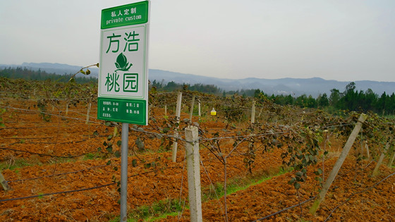 四川省蒼溪縣南華輝工業(yè)生產(chǎn)現(xiàn)場(chǎng) 盧錦根 攝 (2)_副本.jpg