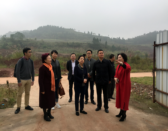 成都錦欣醫(yī)療投資管理集團(tuán)董事長范玉蘭、總經(jīng)理王猷權(quán)及團(tuán)隊一行和中信里昂證券大中華負(fù)責(zé)人周祖禹等來到大英縣實地考察醫(yī)療投資相關(guān)事宜_副本.png