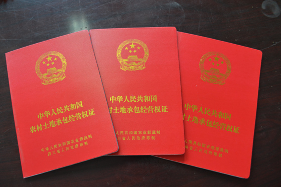土地確權(quán)證書.JPG