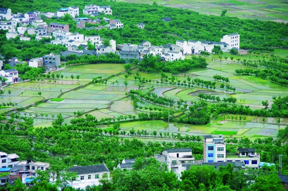 3　漢源縣產(chǎn)村相融的新型鄉(xiāng)村.JPG