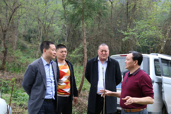 滎經(jīng)聯(lián)社黨委書記、理事長韓先祥（左一）調(diào)研共建村——斷機村方竹筍產(chǎn)業(yè).JPG