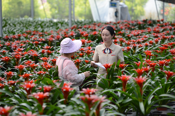 4西昌金信村鎮(zhèn)銀行客戶經(jīng)理實(shí)地了解花卉企業(yè)經(jīng)營(yíng)情況.JPG