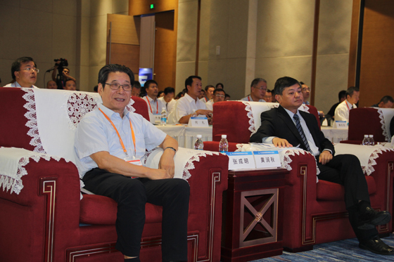學(xué)會會長、中國縣鎮(zhèn)經(jīng)濟(jì)交流促進(jìn)會副會長張成明出席論壇.JPG