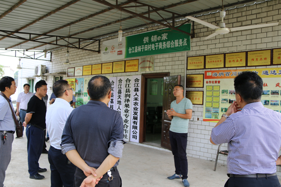 合江農(nóng)商銀行董事長劉楓參觀合江縣新型農(nóng)業(yè)經(jīng)營主體培育調(diào)研.JPG