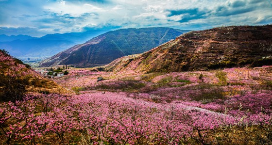 漢源雙溪桃源盛景  周萬龍 攝.jpg