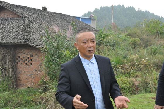 金元鎮(zhèn)巒蒼柏村村支書陳俊彬向記者介紹集體經(jīng)濟(jì)建設(shè)情況.JPG