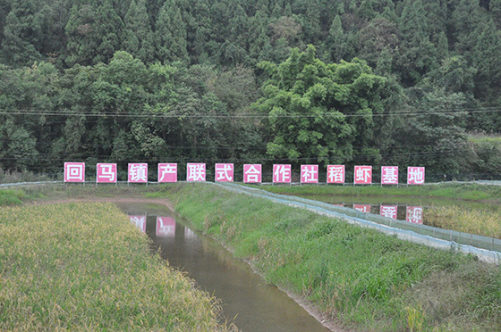 2 產(chǎn)聯(lián)合作下的龍蝦養(yǎng)殖基地.JPG