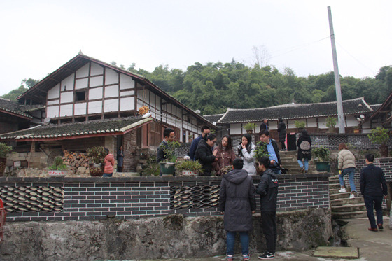 2 長安鄉(xiāng)現(xiàn)場采訪.JPG