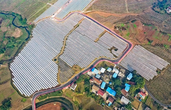 四川省華鎣市大力發(fā)展高投入、高產(chǎn)出和資金、技術(shù)、勞動(dòng)密集型的高效設(shè)施農(nóng)業(yè)，在陽(yáng)和、高興、永興等純農(nóng)業(yè)鄉(xiāng)鎮(zhèn)建起2.6萬(wàn)畝池渠路配套的能調(diào)控氣溫的大棚，種植優(yōu)質(zhì)葡萄、草莓、西爪和食用菌、蔬菜等果蔬，既促進(jìn)了農(nóng)業(yè)增效和農(nóng)民增收，又扮靚了鄉(xiāng)村。邱海鷹  攝[4].JPG