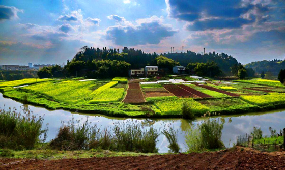 6 安岳秀美農(nóng)村風(fēng)光.jpg