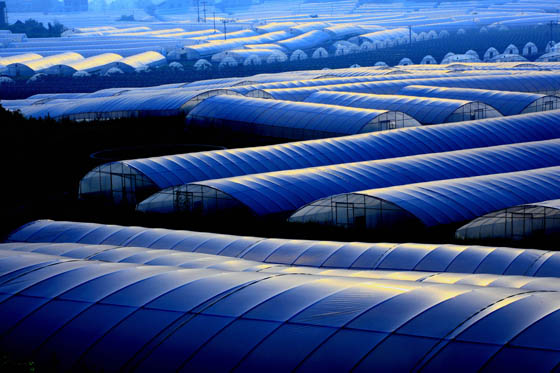 川東北經(jīng)濟(jì)區(qū)要依托南充、廣元、巴中、達(dá)州、廣安這五個(gè)大城市，構(gòu)建川東北城市群，將其培育成為四川省域的另一個(gè)副中心。圖為四川廣安市現(xiàn)代農(nóng)業(yè)園區(qū)一景  唐明攝 .jpg