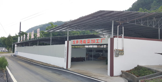 5 龍井灣咸菜加工廠.jpg