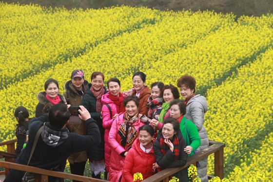 油菜花節(jié)期間游人如織.jpg