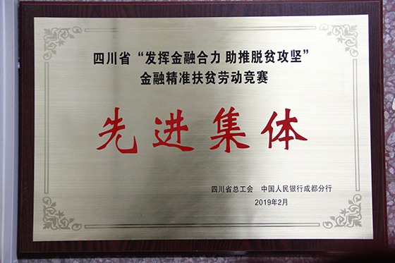 1 精準(zhǔn)扶貧獎牌.JPG