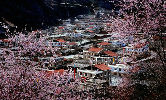 《藏家新居》 作者：沈祥軍攝.jpg