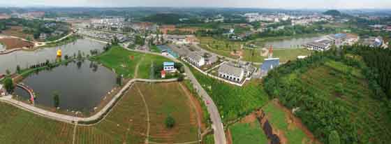 楊家香草園全景圖  劉華偉 攝.jpg