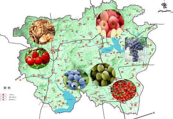 舊店鎮(zhèn)因地制宜，布局果品生產(chǎn)基地（圖一）.png